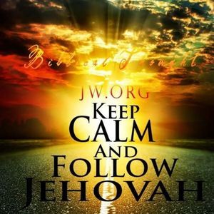 Meet your Posher, Lydia